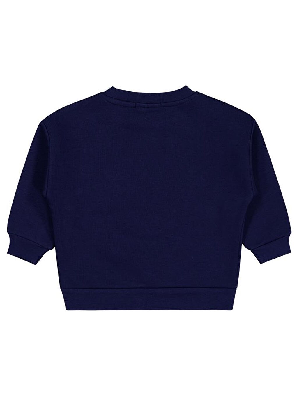 Lacivert Boys Go Team Tıger Baskılı 2-5 Yaş Sweatshirt-1