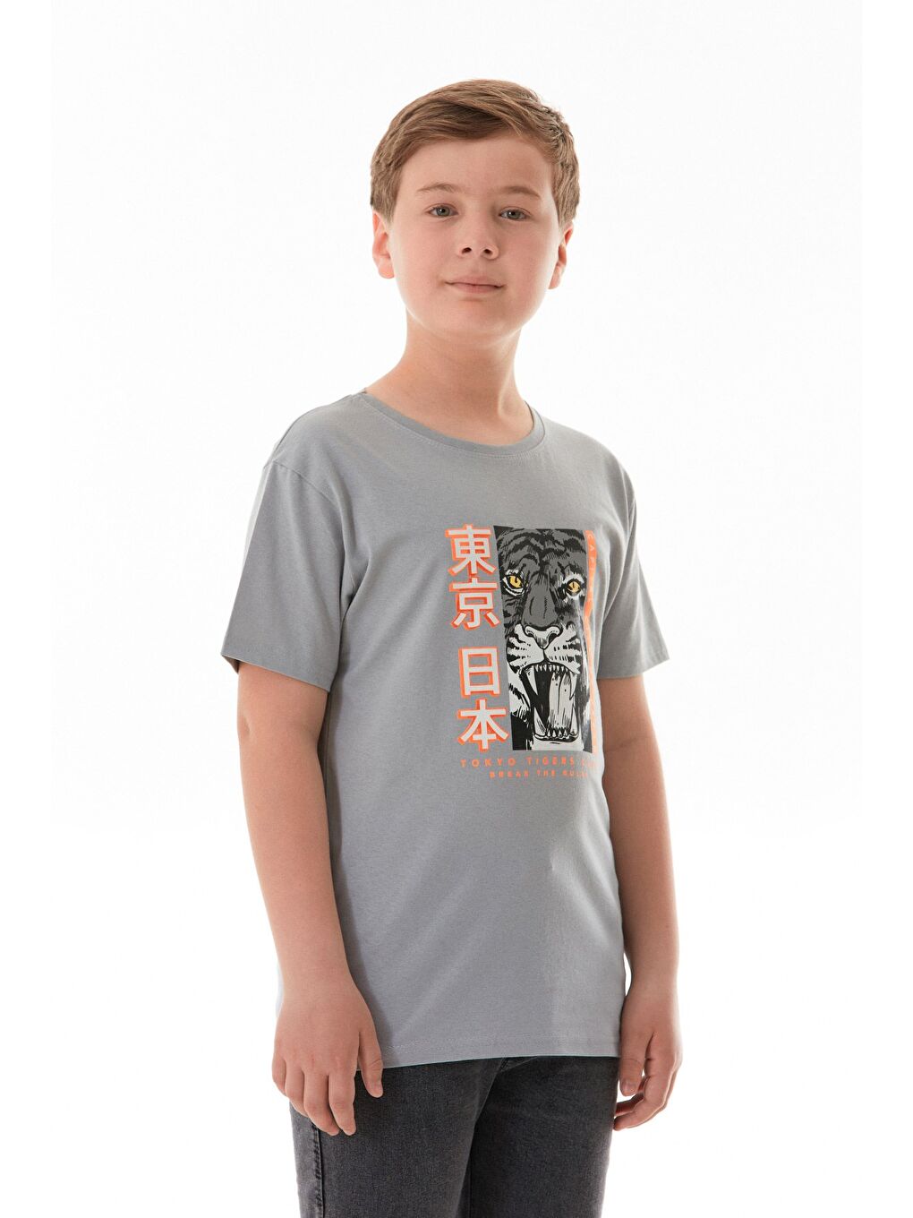 Gri Kaplan Baskılı Erkek Çocuk Tişört-2