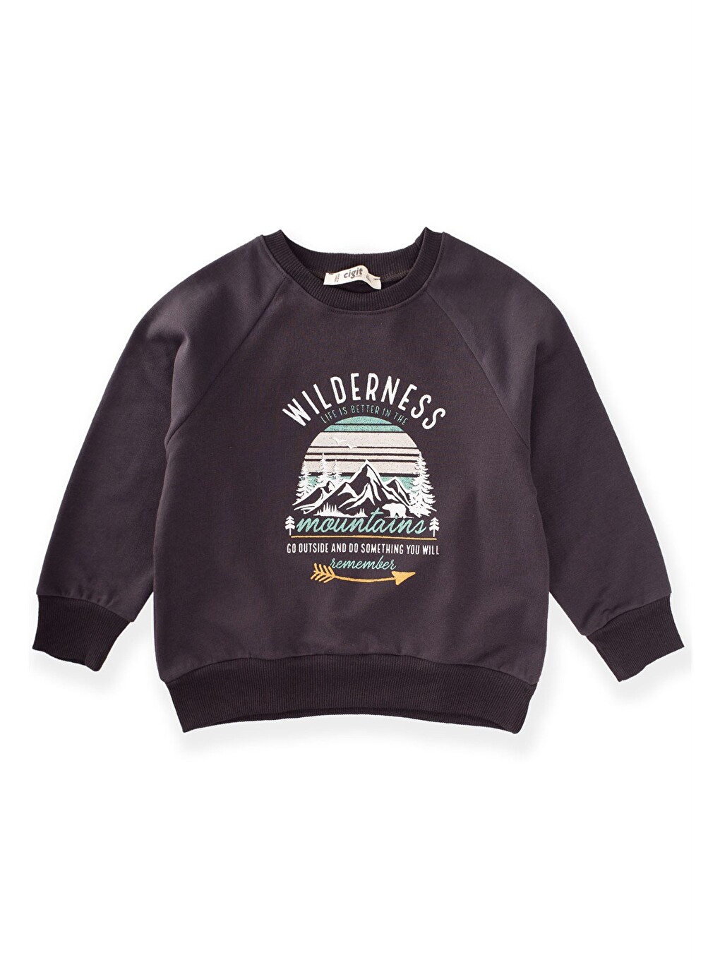 Dağ Baskılı Sweatshirt 3-9 Yaş Antrasit
