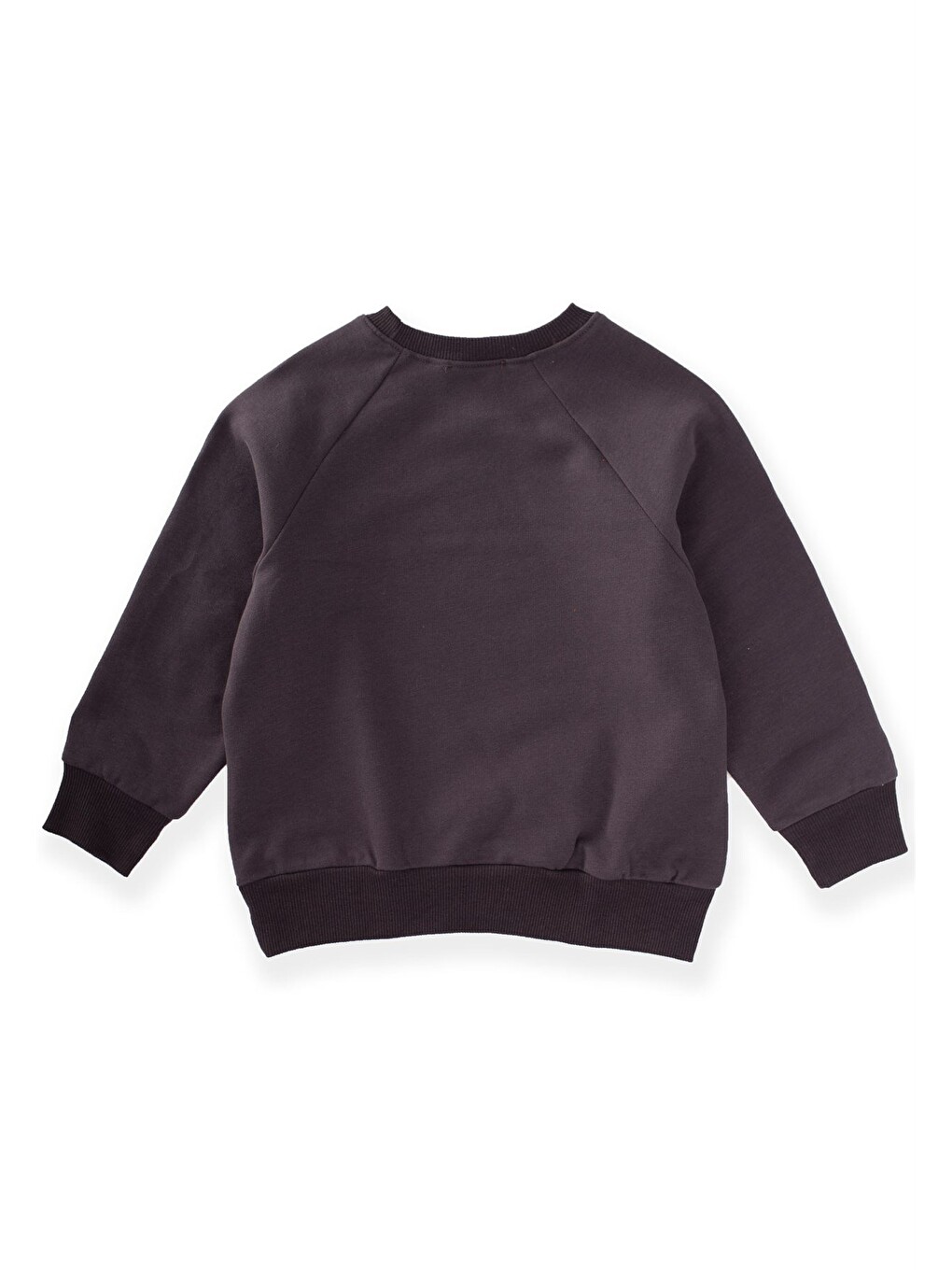 Dağ Baskılı Sweatshirt 3-9 Yaş Antrasit-1
