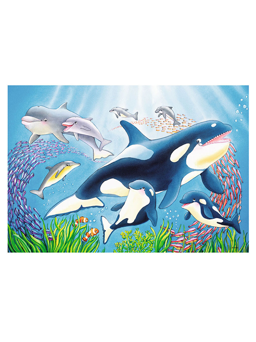 Ravensburger Puzzle 2x24 Parça Under The Sea 78158