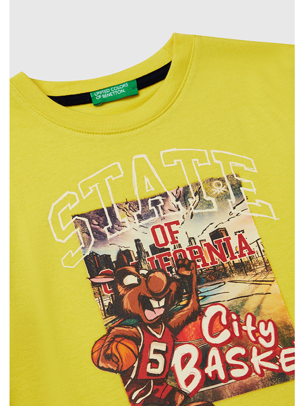 Erkek Çocuk Sarı Fotoğraf Baskılı Kolu Çizgili Oversize T-Shirt-2