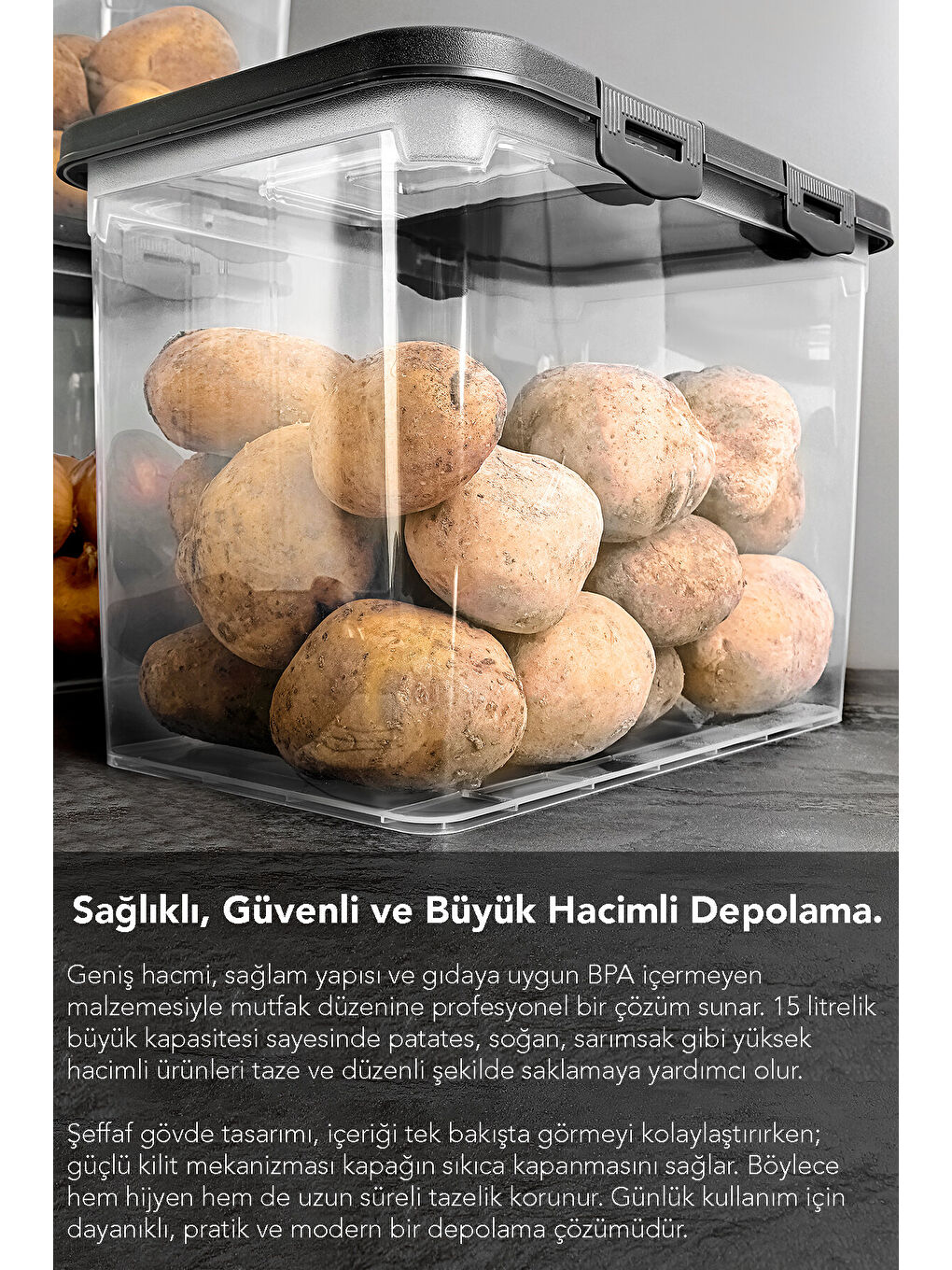 Renksiz 2 Adet Saklama Kabı 15 l-3