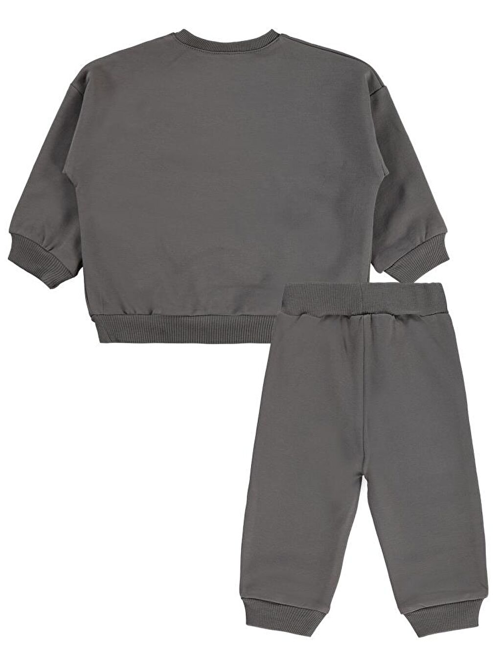 Gri Baby Baskılı 2'li 6-18 Ay Takım