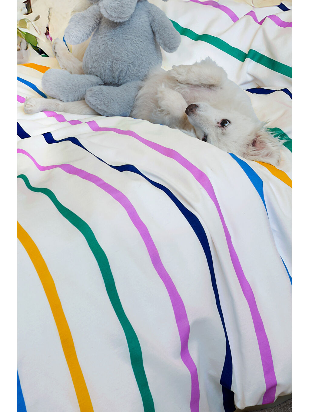 Junior Nevresim Seti Tek Kişilik Fuuny Sarı-1