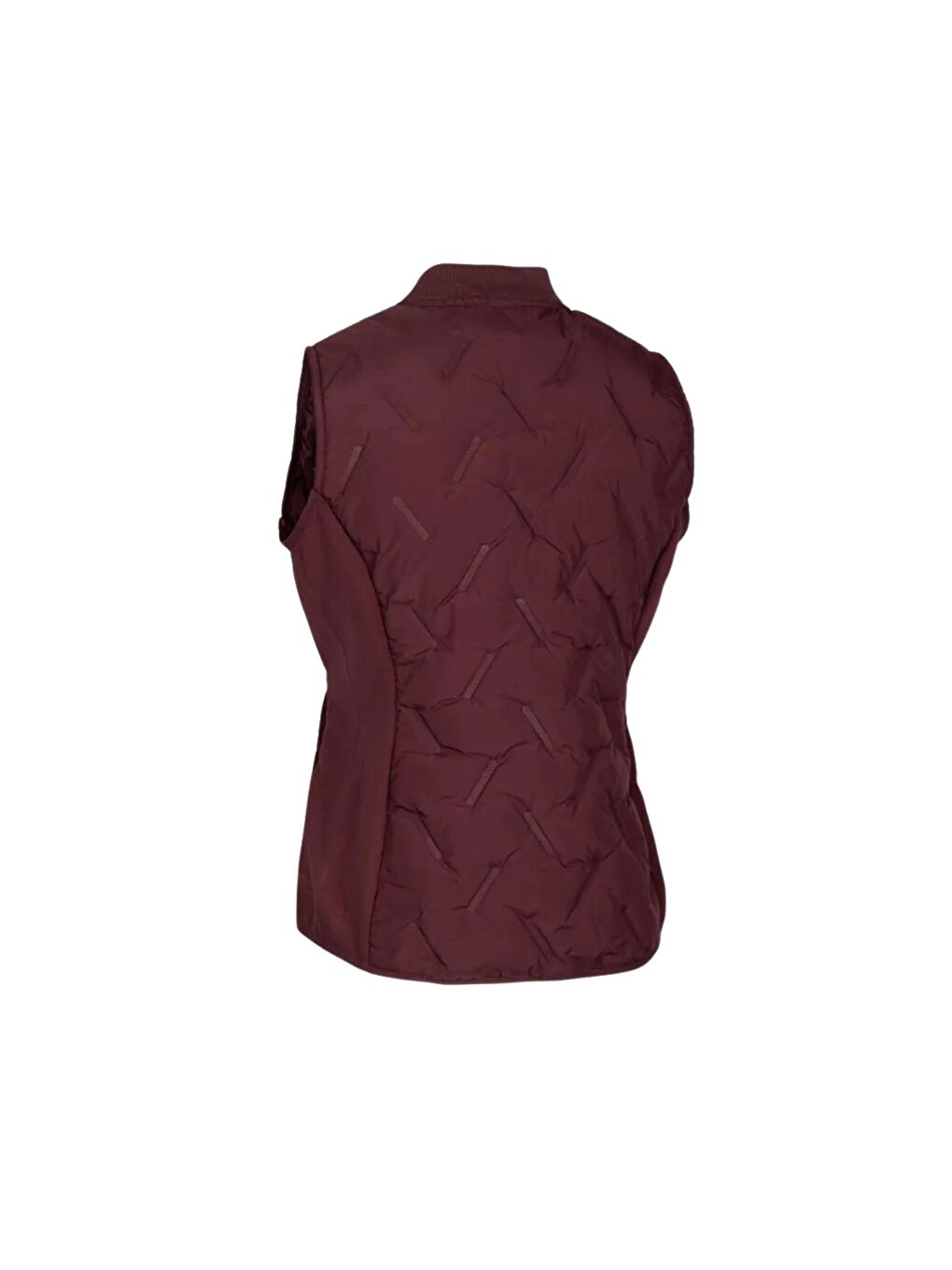 Mürdüm Miran - Active Hybrid Gilet Kadın Mor Yelek-1