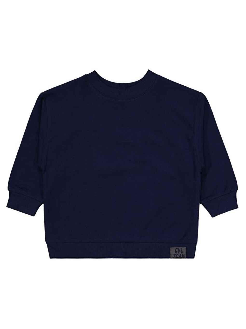 Boys Cvl Team Etiketli 2-5 Yaş Sweatshirt - Lacivert 4-5 Yaş-1