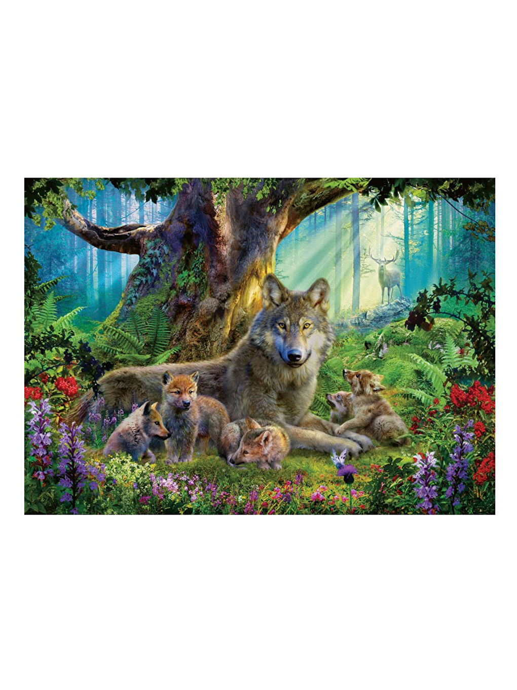 Ravensburger Renksiz Puzzle 1000 Parça Wolves in Forest 159871