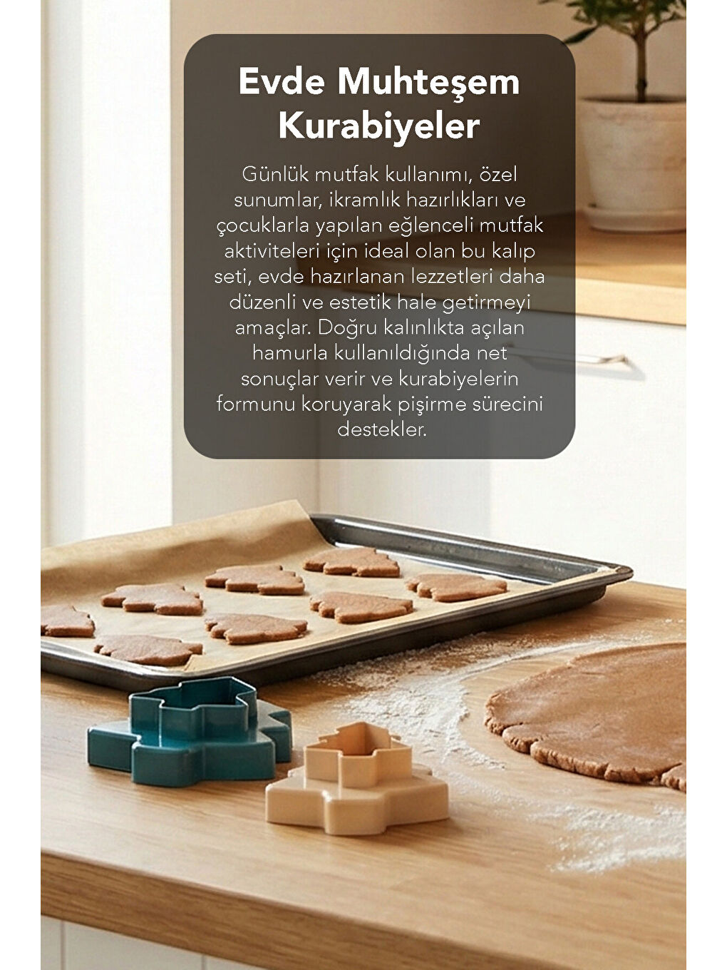 Karışık 2'li Çam Ağacı Kurabiye Kalıbı-3