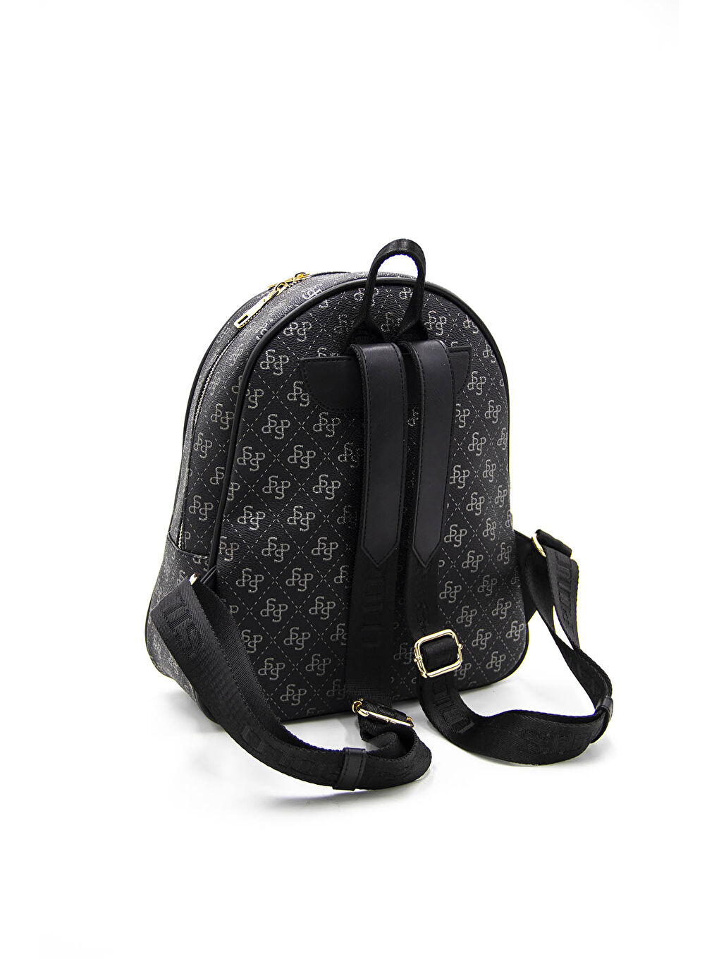 Kadın Sırt Çantası 1063-43229 M178 Siyah Platin-Mat Siyah-3