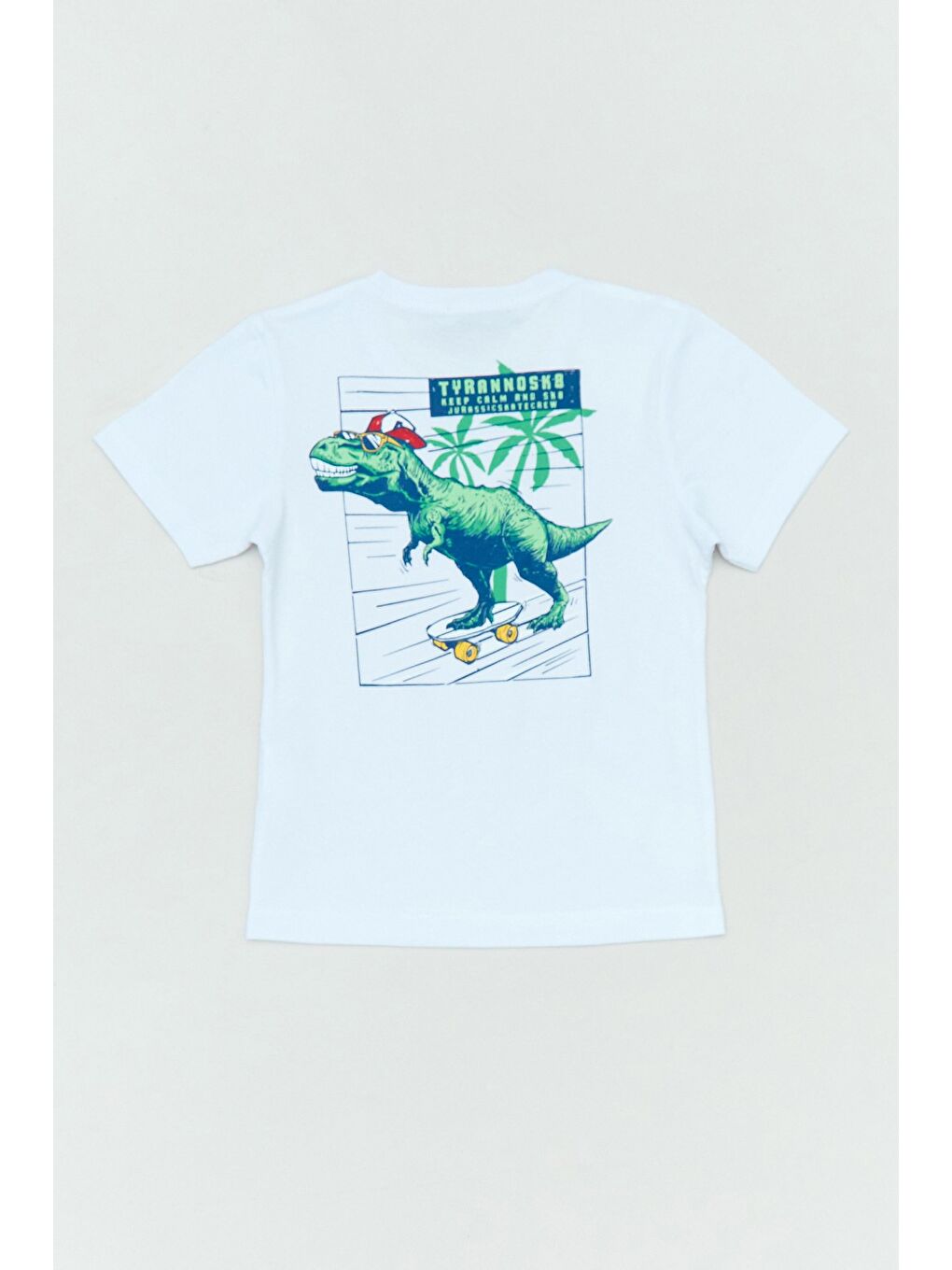 Beyaz %100 Pamuk Arkası Dinozor Baskılı Erkek Çocuk Tişört-1