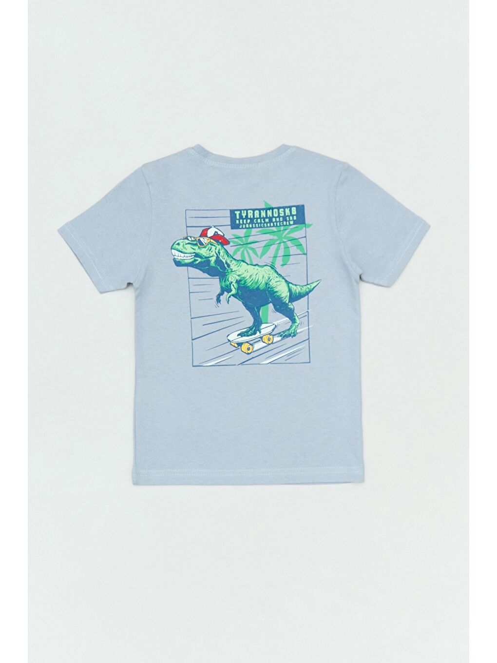 Gri %100 Pamuk Arkası Dinozor Baskılı Erkek Çocuk Tişört-1
