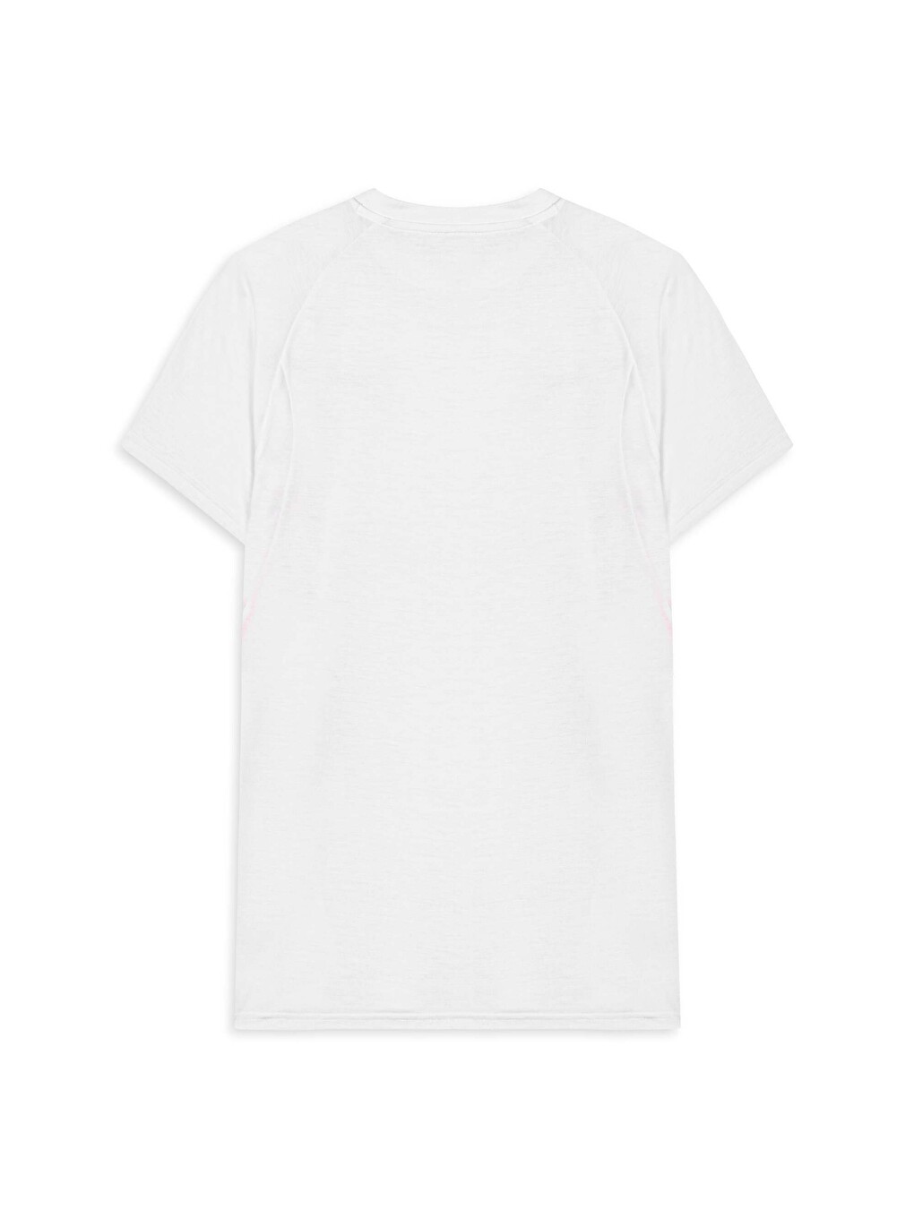 Beyaz GALATASARAY EVOSTRIPE Erkek Tişört-1