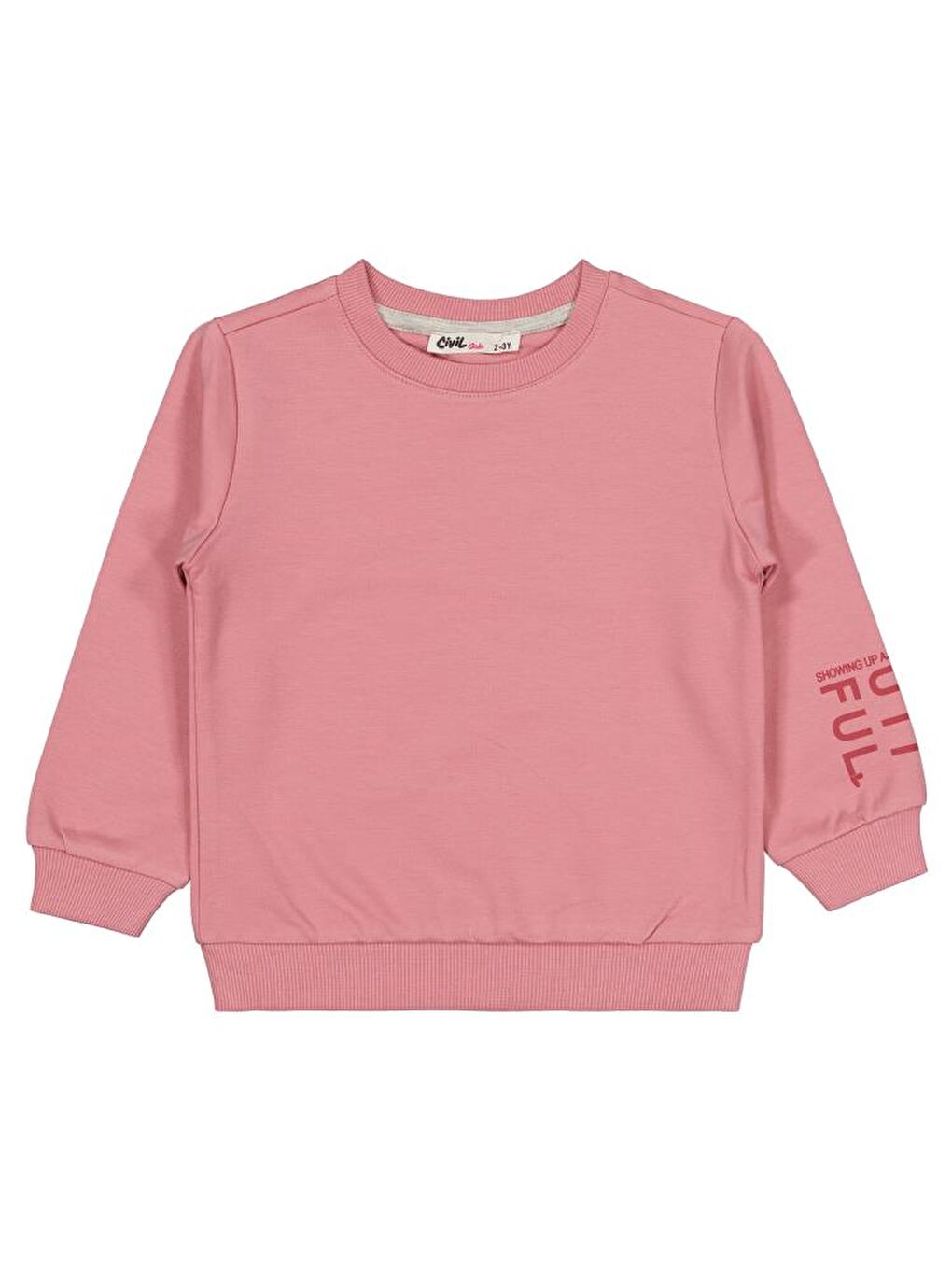 Girls Basic 2-5 Yaş Sweatshirt - Pembe 4-5 Yaş