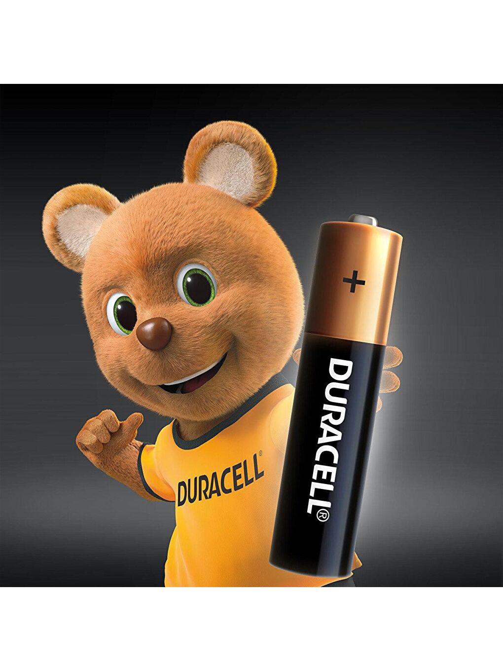 Duracell Karışık Alkalin AAA İnce Kalem Pil 4 Adet - 1