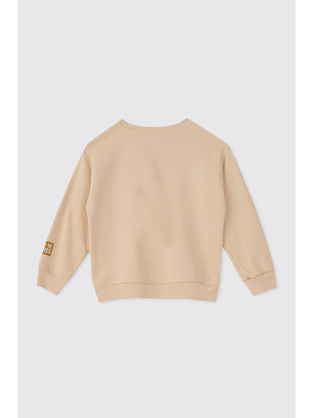 Erkek Çocuk Baskılı Bej Sweatshirt-1