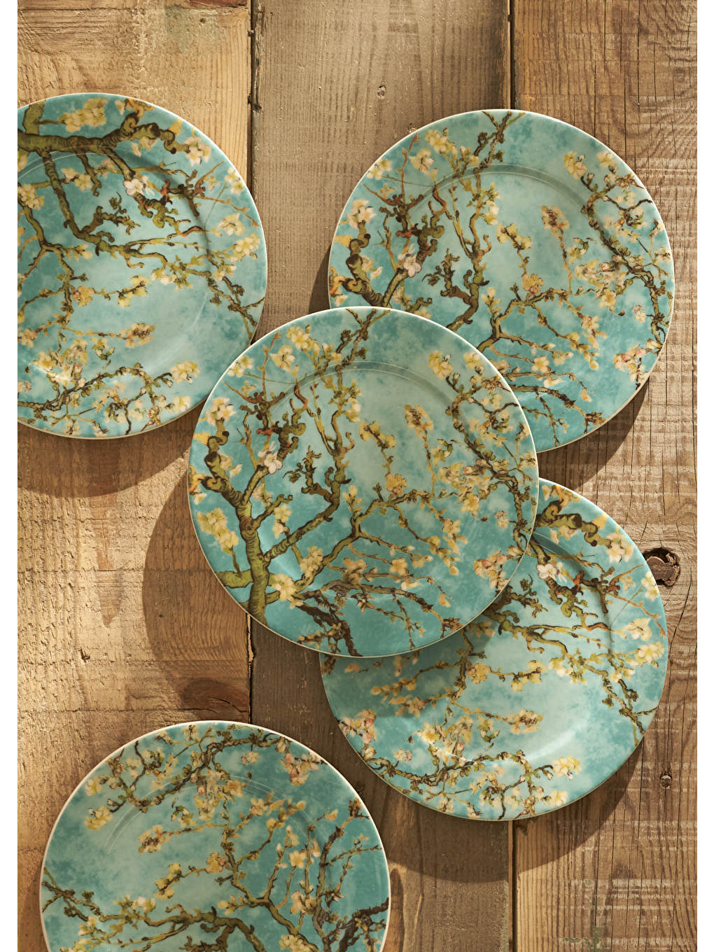 Van Gogh Almond Blossom Porselen Pasta Tabağı Turkuaz (19 Cm)-5