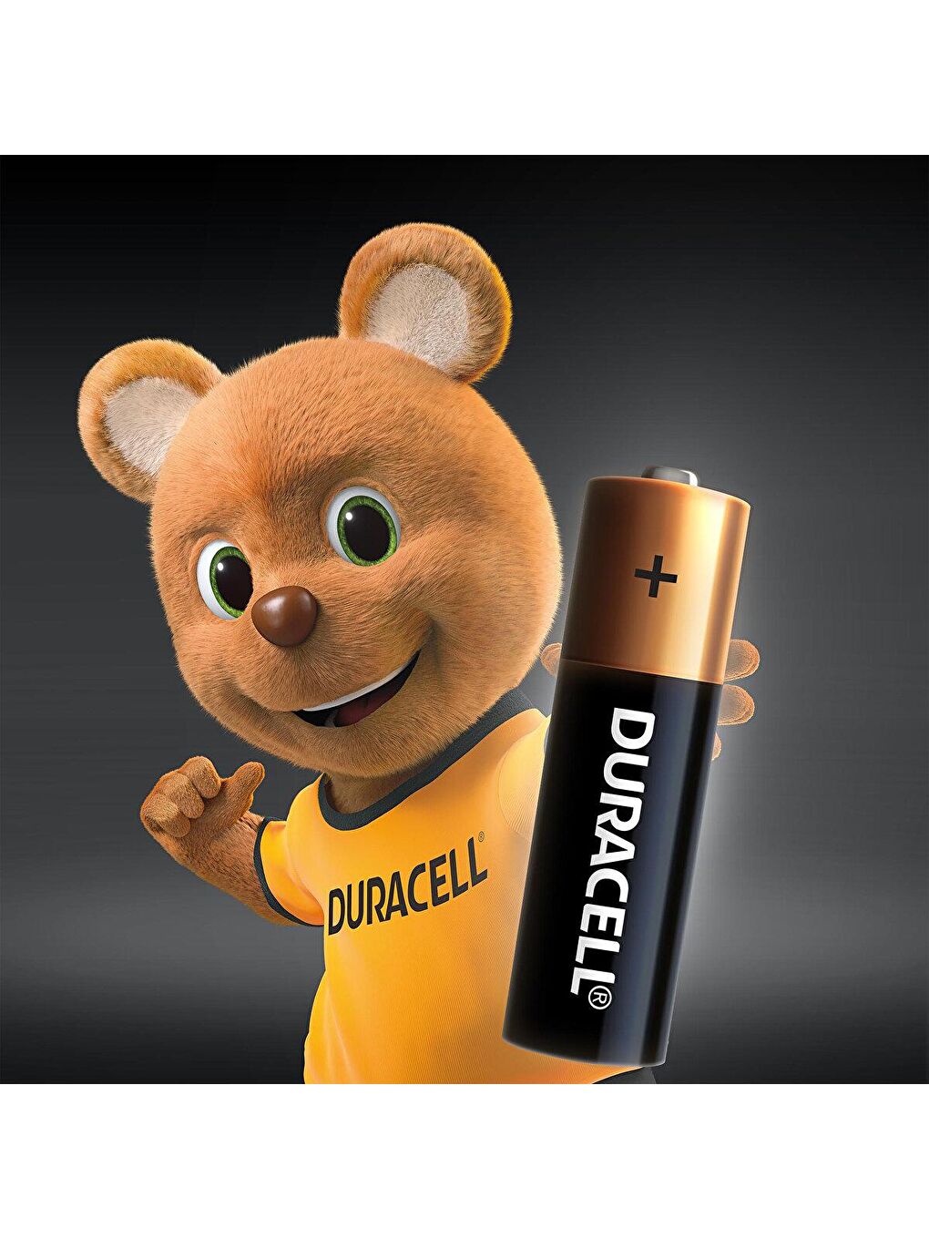 Duracell Karışık Alkalin AA Kalem Pil 4 Adet - 1