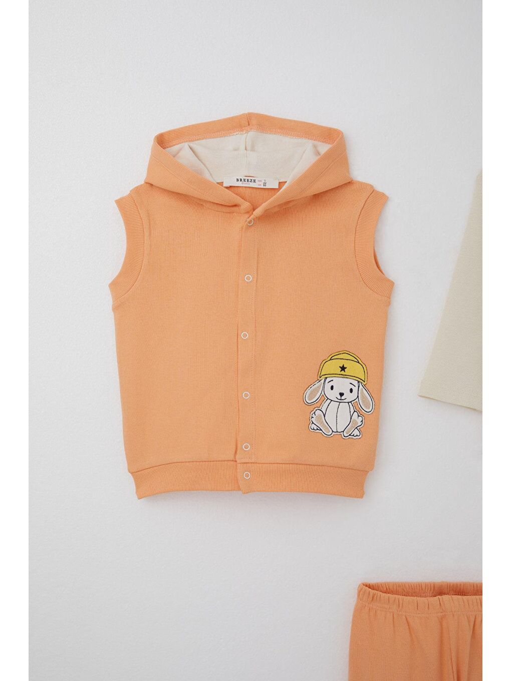 Pembe Kız Bebek Zıbınlı 3 Lü Takım Sevimli Şapkalı Köpekçik Nakışlı Somon (4 Ay-1 Yaş)-1