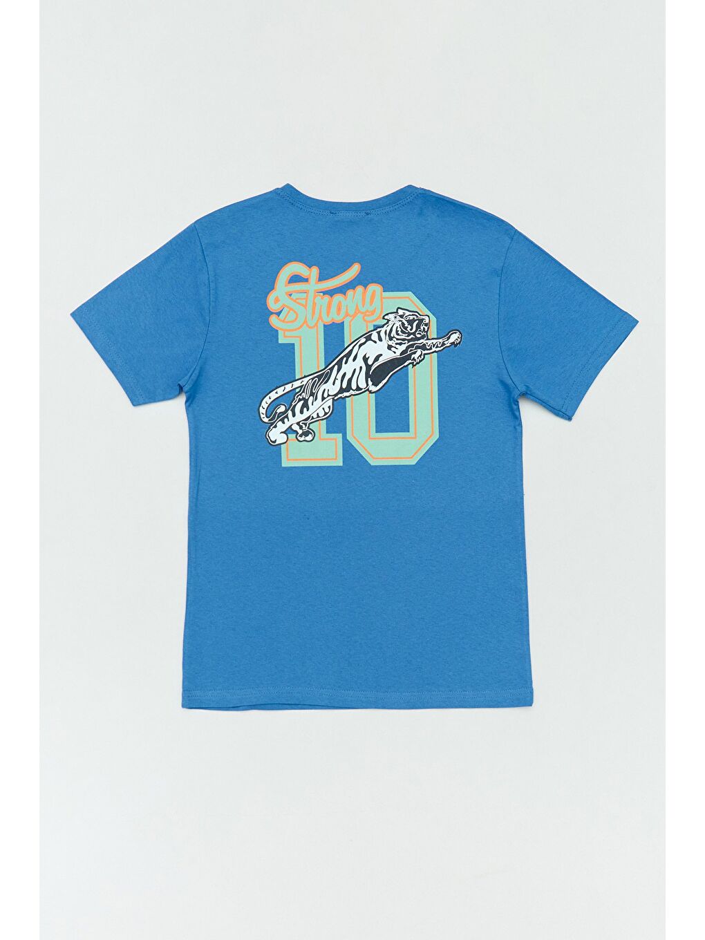 Mavi %100 Pamuk Kaplan Baskılı Bisiklet Yaka Erkek Çocuk Tişört-1