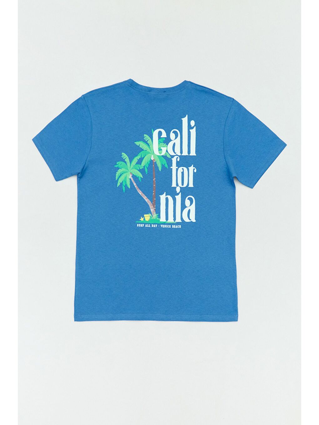 Mavi %100 Pamuk Önü Ve Arkası California Yazı Baskılı Erkek Çocuk Tişört-1
