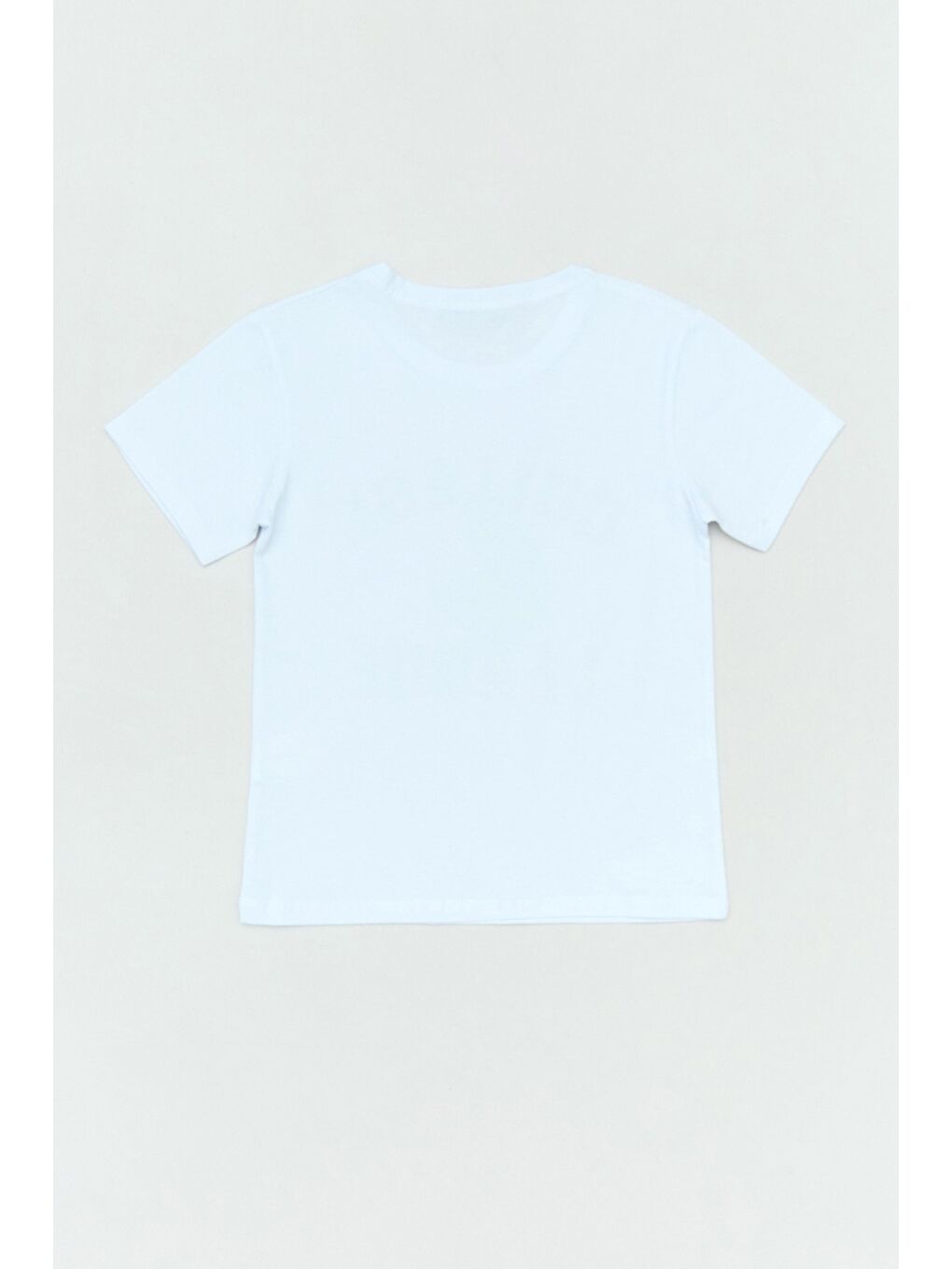 Beyaz College Ve Kaplan Baskılı Erkek Çocuk Tişört-1