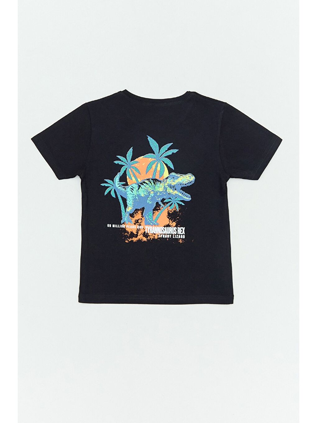 Siyah %100 Pamuk Arkası Dinozor Baskılı Erkek Çocuk Tişört-1