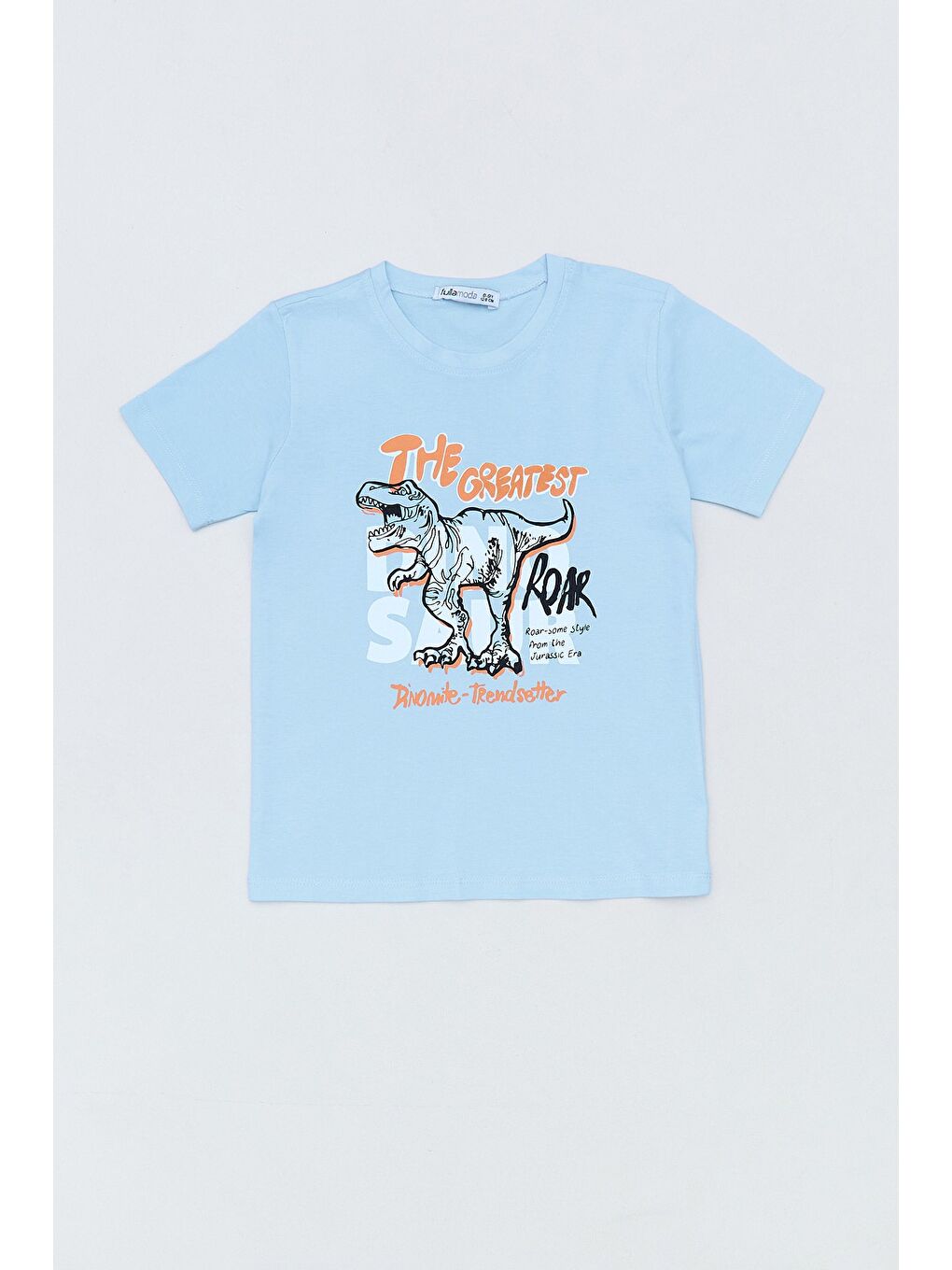 Mavi %100 Pamuk Dinozor Baskılı Erkek Çocuk Tişört
