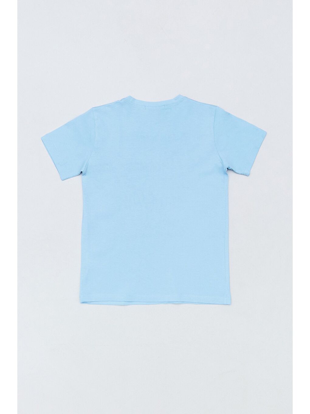 Mavi %100 Pamuk Dinozor Baskılı Erkek Çocuk Tişört-1