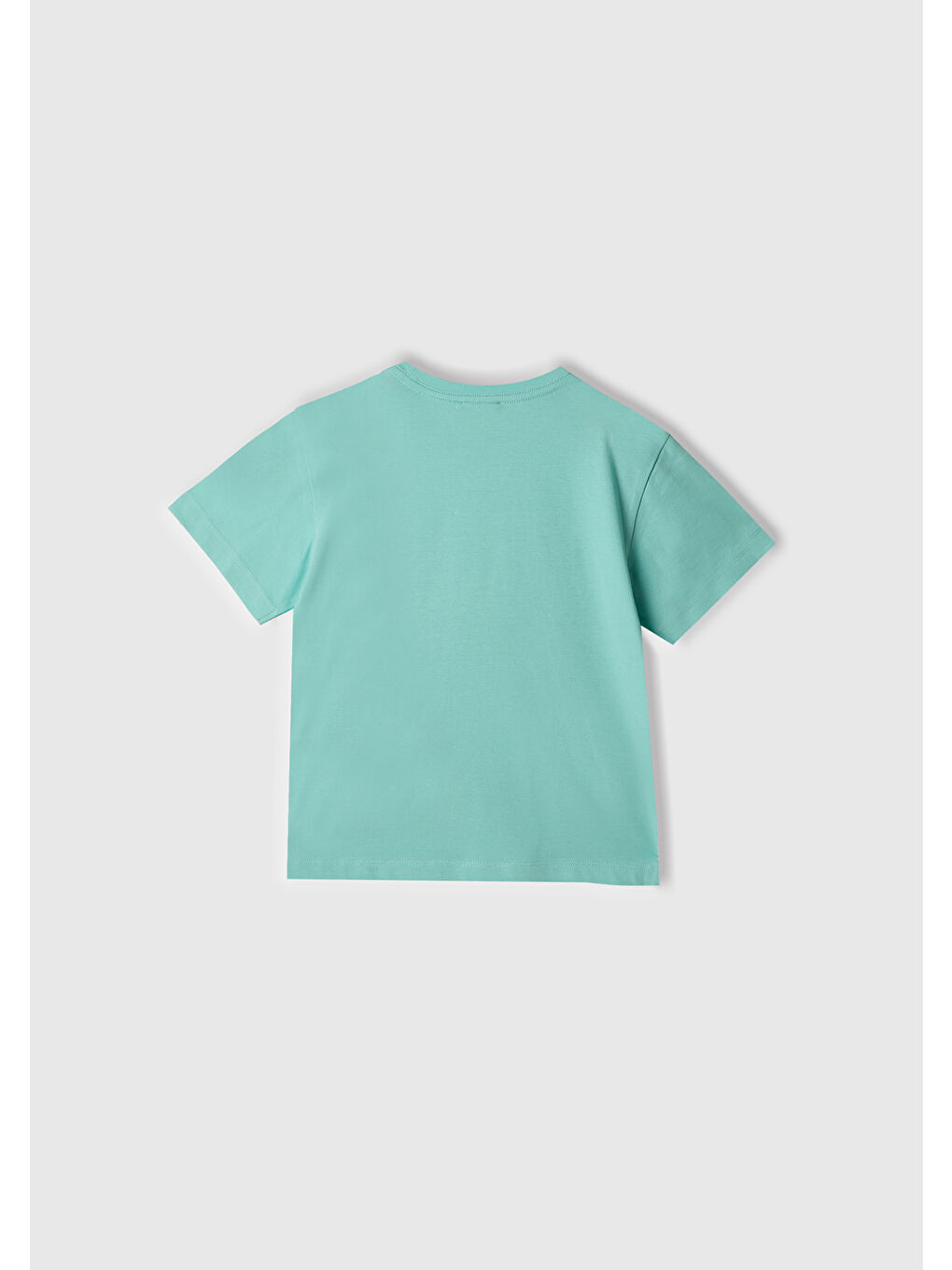 Turkuaz Erkek Çocuk Su Yeşili 3D Baskılı T-Shirt-2