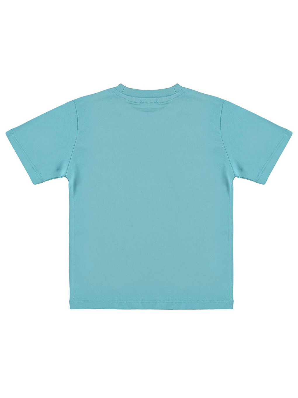 Boys Basic Surf Etiketli 2-5 Yaş Tişört - Yeşil-1