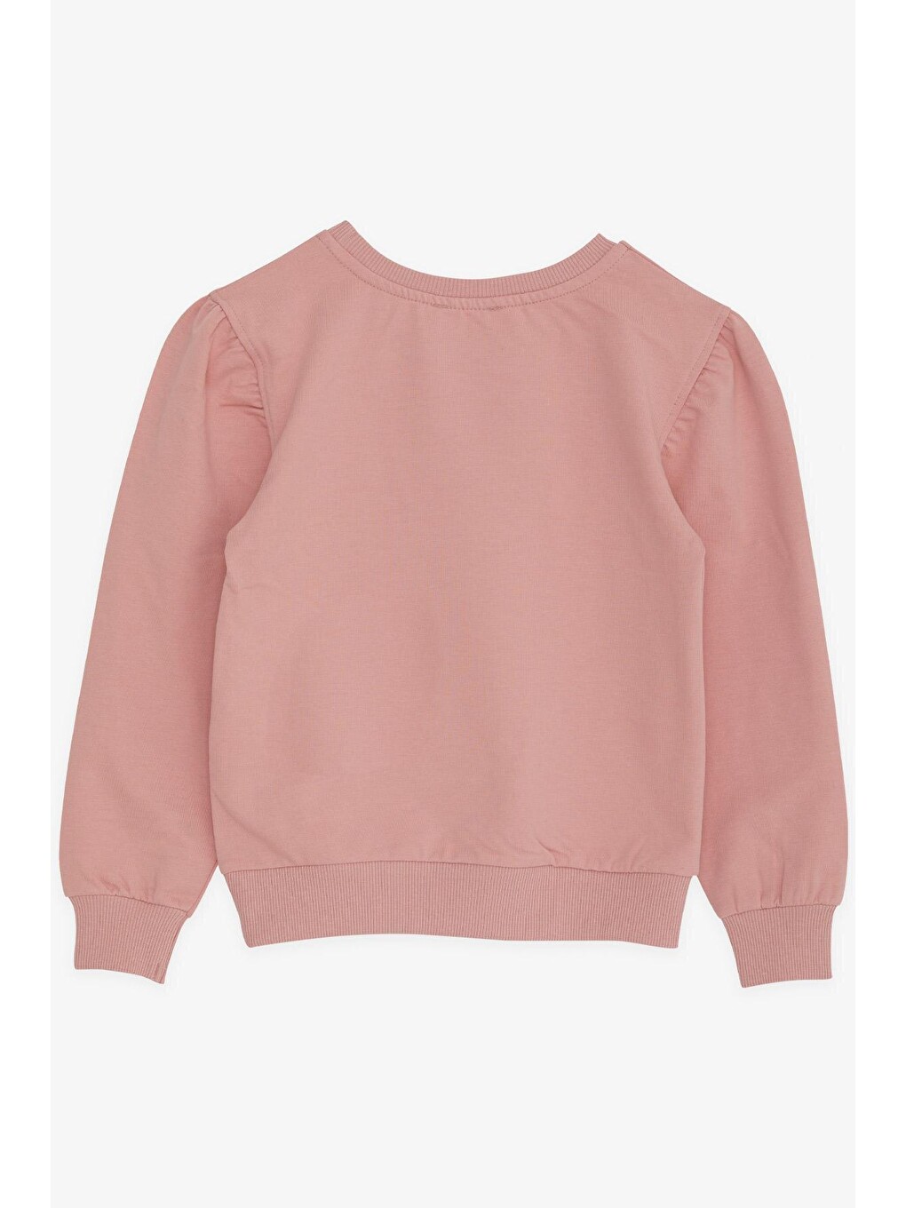 Pembe Kız Çocuk Sweatshirt Simli Yazı Baskılı Gülkurusu (14 Yaş)-1