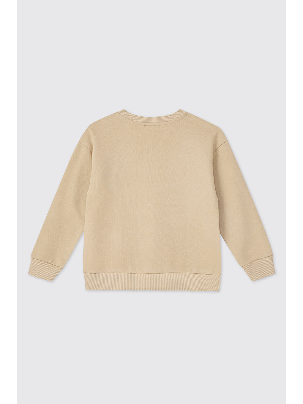 Erkek Çocuk Bej Sweatshirt-1
