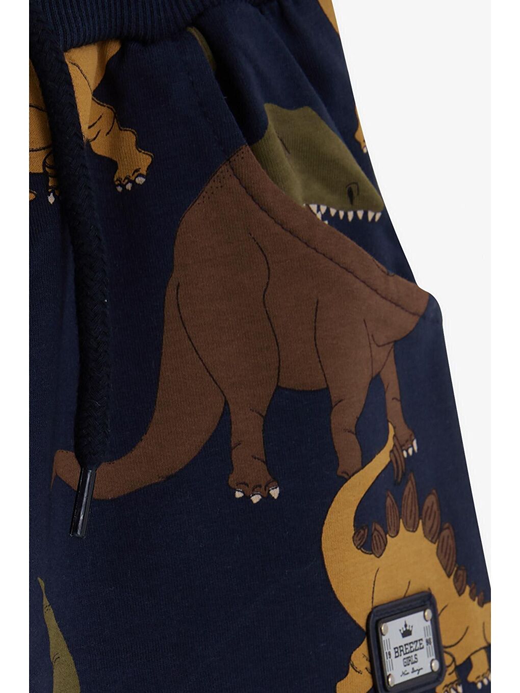 Erkek Çocuk Eşofman Altı Dinozor Desenli Lacivert (4 Yaş)-2