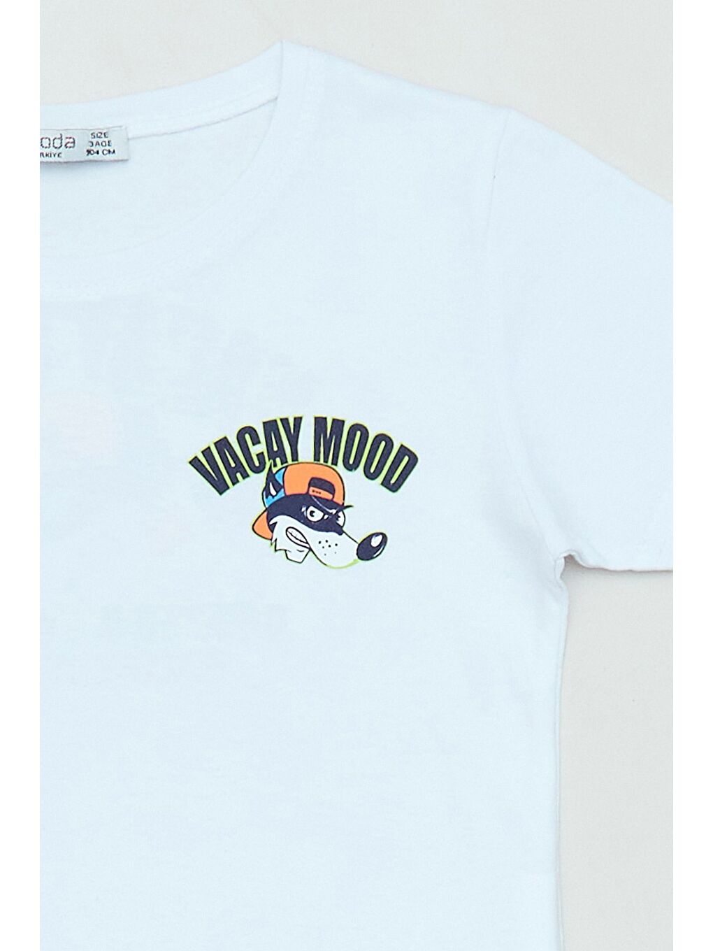 Beyaz %100 Pamuk Önü Ve Arkası Köpek Baskılı Erkek Çocuk Tişört-2