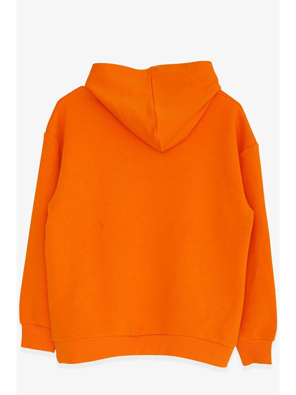 Breeze Turuncu Erkek Çocuk Sweatshirt Nakışlı Yazı Baskılı Turuncu (8-10 Yaş)