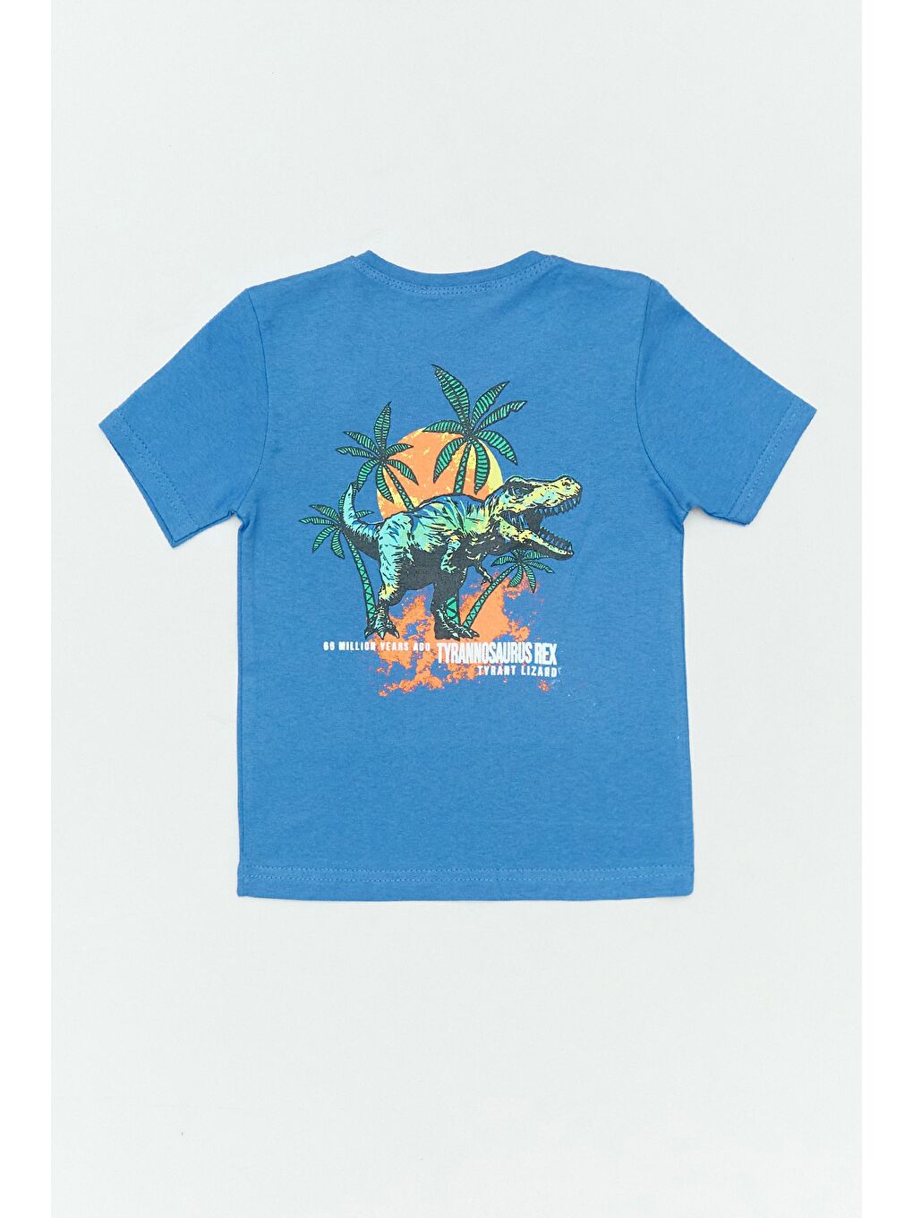 İndigo %100 Pamuk Arkası Dinozor Baskılı Erkek Çocuk Tişört-2