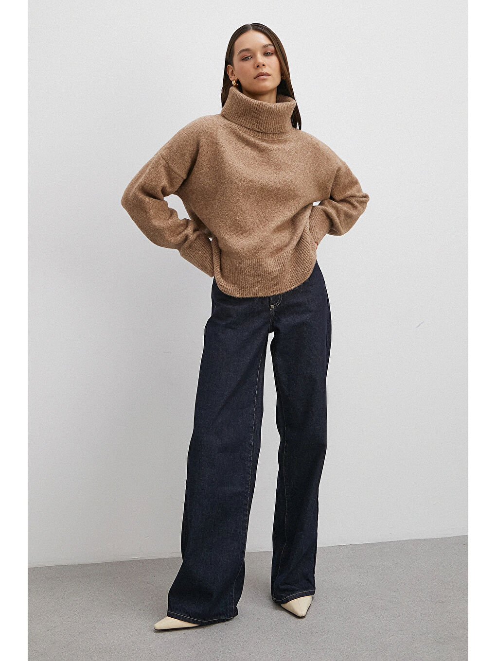 Bej Balıkçı Yaka Uzun Kollu Kazak Vizon-1