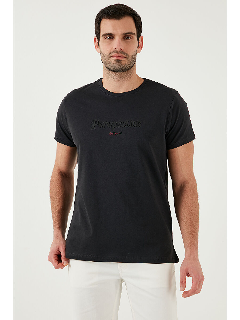 Antrasit Pamuklu Slim Fit Bisiklet Yaka Erkek %100 Pamuk Tişört 541PERSPECTIve-3