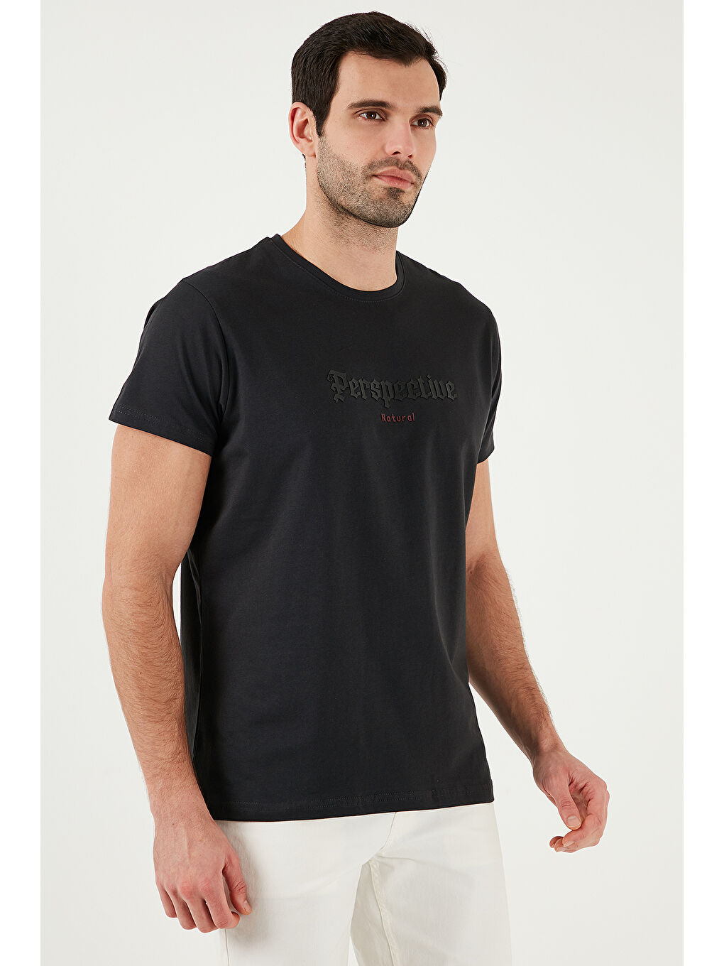 Antrasit Pamuklu Slim Fit Bisiklet Yaka Erkek %100 Pamuk Tişört 541PERSPECTIve-4