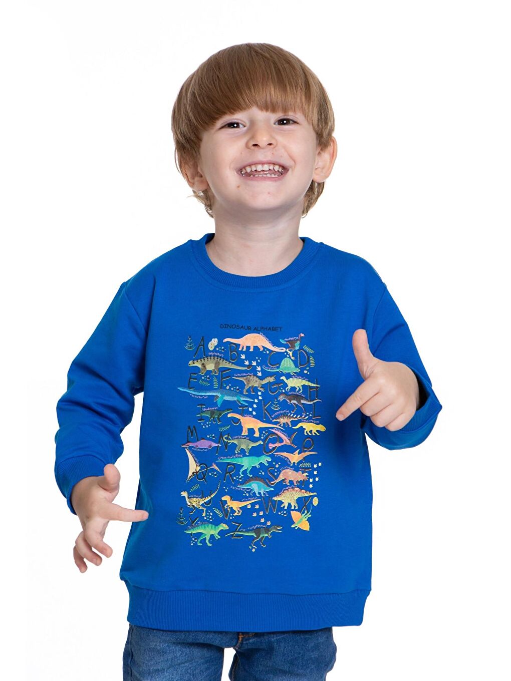 Myhanne Saks Dinozor Baskılı Erkek Bebek Sweatshirt 54264