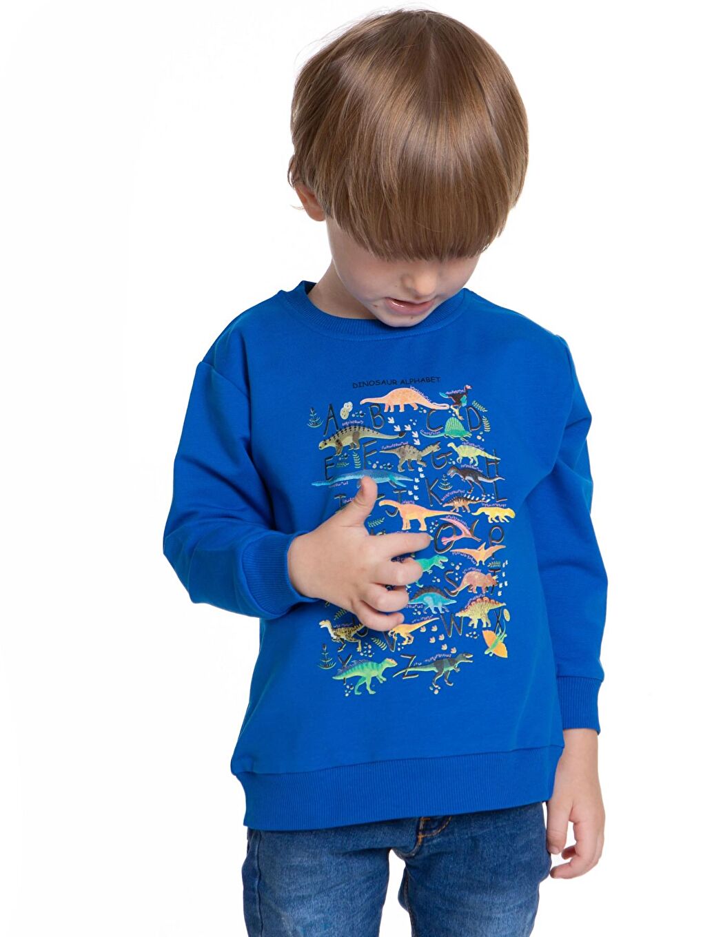 Myhanne Saks Dinozor Baskılı Erkek Bebek Sweatshirt 54264 - 1