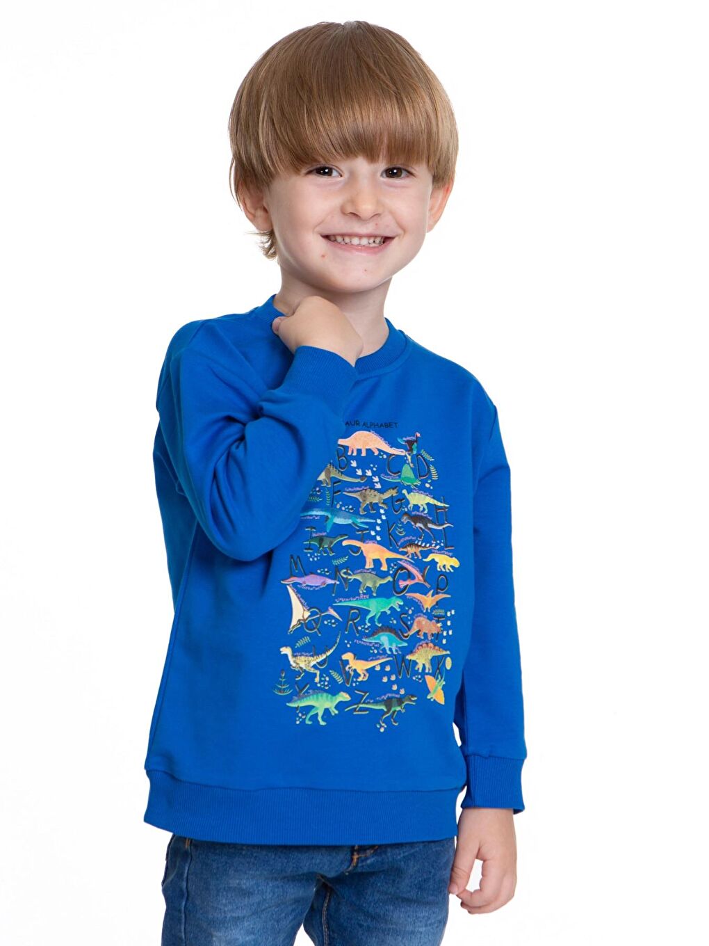 Myhanne Saks Dinozor Baskılı Erkek Bebek Sweatshirt 54264 - 2