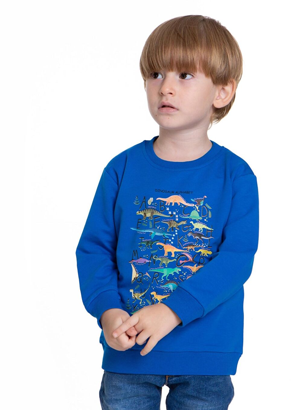 Myhanne Saks Dinozor Baskılı Erkek Bebek Sweatshirt 54264 - 3