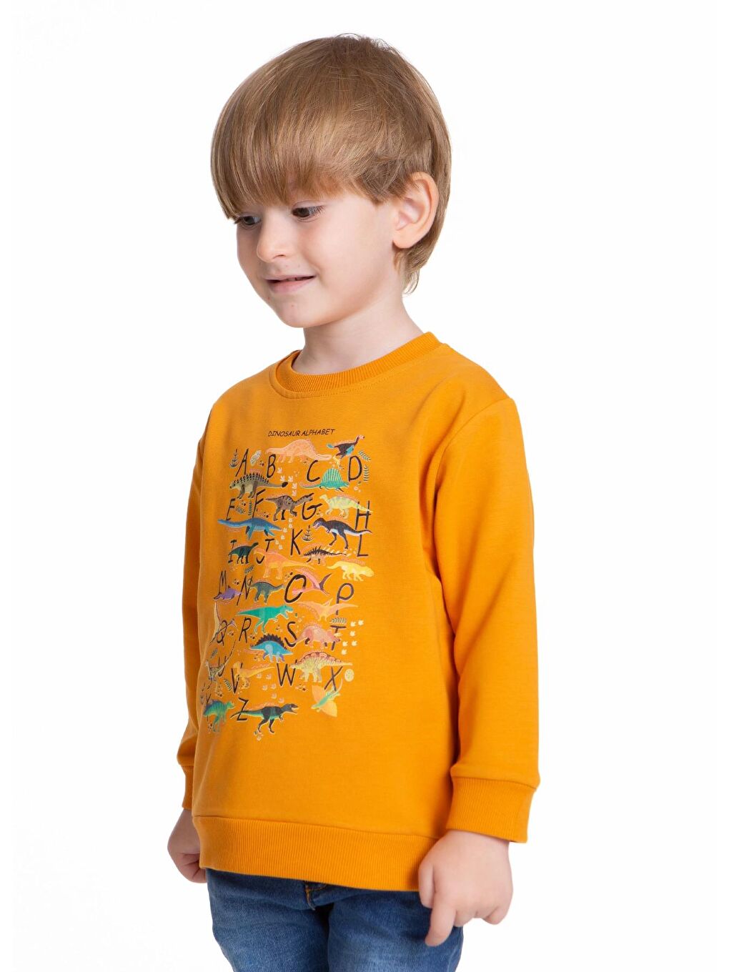 Myhanne Hardal Sarı Dinozor Baskılı Erkek Bebek Sweatshirt 54264