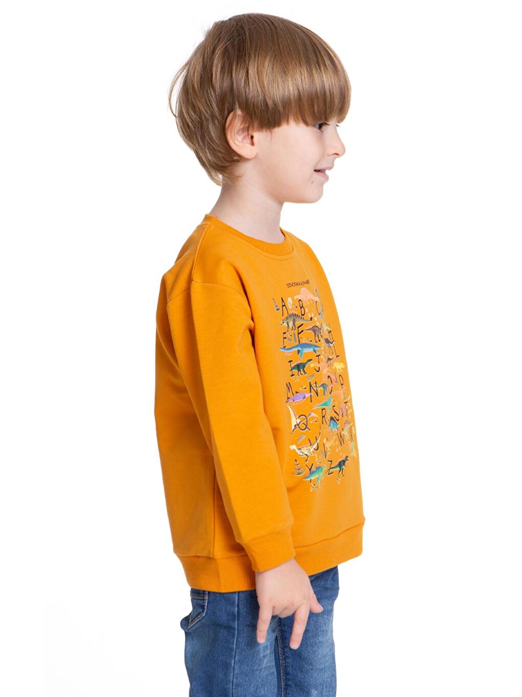 Myhanne Hardal Sarı Dinozor Baskılı Erkek Bebek Sweatshirt 54264 - 1