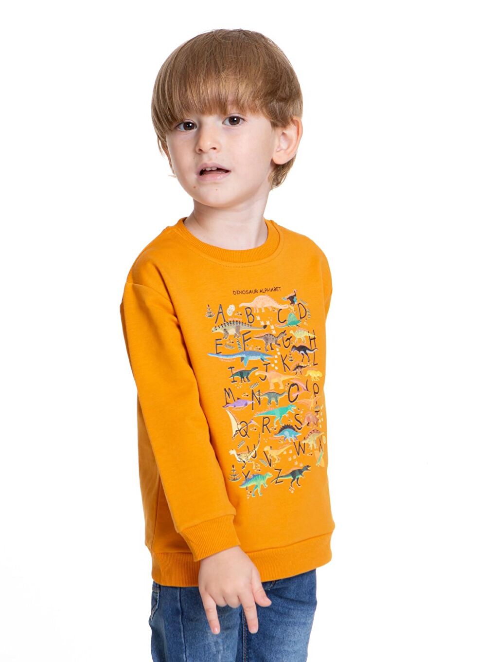 Myhanne Hardal Sarı Dinozor Baskılı Erkek Bebek Sweatshirt 54264 - 2