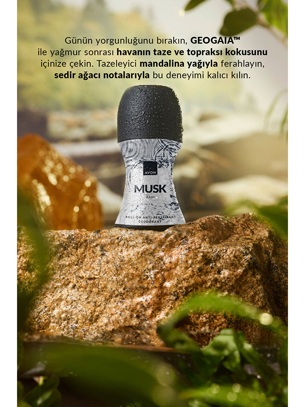 Musk Rain Erkek Roll-on 50 Ml. Üçlü Paket-2