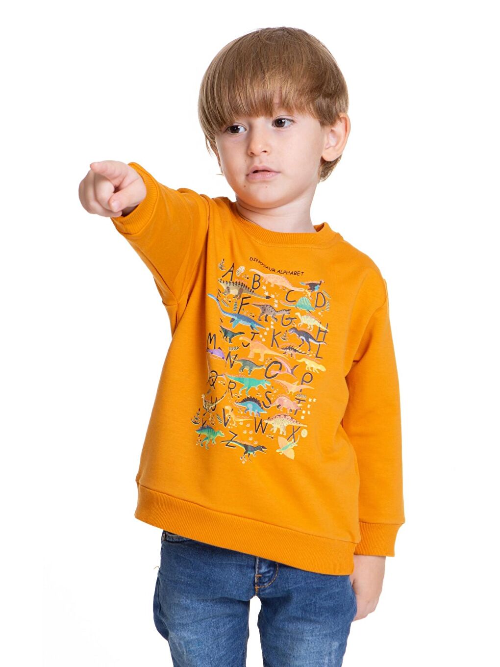 Myhanne Hardal Sarı Dinozor Baskılı Erkek Bebek Sweatshirt 54264 - 3