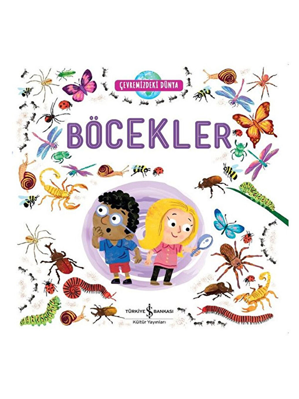 Çevremizdeki Dünya Böcekler